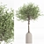 Greenery Harmony Set 022 3D model small image 7