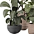 Lush Indoor Plant 3D Model 3D model small image 3