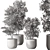 Sapling Tree Indoor Plant 543 3D model small image 3