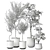 Modern Indoor Plant Decoration 3D model small image 4