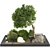Lush Garden Tree & Bush Set 3D model small image 8
