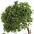 Lush Garden Tree & Bush Set 3D model small image 11