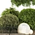 Lush Garden Tree & Bush Set 3D model small image 12