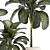 Tropical Dieffenbachia Plant in Concrete Pot 3D model small image 3