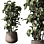 Freshen Your Space With Aglaonema 3D model small image 1