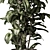 Freshen Your Space With Aglaonema 3D model small image 3