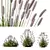 Ornamental Pennisetum Fountain Grass 3D model small image 1