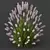 Ornamental Pennisetum Fountain Grass 3D model small image 4