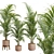 Tropical Areca Palm Set Render 3D model small image 2