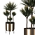 Modern Indoor Plant with Planter 3D model small image 2