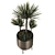 Modern Indoor Plant with Planter 3D model small image 7