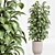  Indoor Plant Set 023 3D model small image 2