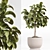  Indoor Plant Set 023 3D model small image 3