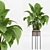  Indoor Plant Set 023 3D model small image 4