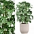  Indoor Plant Set 023 3D model small image 6