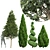 Pine Tree 3D Models Collection 3D model small image 1