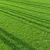 Pro Landscaping Grass Bundle 3D model small image 1