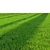 Pro Landscaping Grass Bundle 3D model small image 5