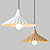 Emilian Conical Pendant Lamp 3D model small image 2