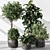  Tree in Pot: Indoor Plant 3D model small image 1