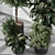  Tree in Pot: Indoor Plant 3D model small image 2