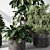  Tree in Pot: Indoor Plant 3D model small image 4