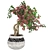 Bougainvillea Tree Pot 3D Model 3D model small image 1