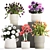 Modern Concrete Planters & Floral Collection 3D model small image 1