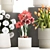 Modern Concrete Planters & Floral Collection 3D model small image 4