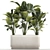 Exotic Plant Set in Concrete Pot 3D model small image 1