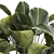 Exotic Plant Set in Concrete Pot 3D model small image 2