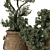 Indoor Bonsai Olive Tree in Pot 3D model small image 5