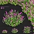 Blooming Buddleja davidii Bushes 3D model small image 1