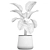 Exotic Tropical Plant Ensemble 3D model small image 7