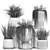 Tropical Asparagus Plant Set 3D model small image 6