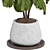 Indoor Fiddle Leaf Fig Plant Elegance 3D model small image 13