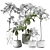Lush Indoor Plant 3D Model 3D model small image 5