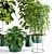 Modern Indoor Plant Set 27 3D model small image 2