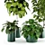 Modern Indoor Plant Set 27 3D model small image 3