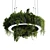 Plant Light Pendant Circle Design 3D model small image 1