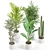 Botanical Oasis Plants Set 3D model small image 4