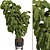 Ficus Lyrata Indoor Plant Package 3D model small image 2
