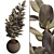 Rubber Tree Plant in Wicker Pot 3D model small image 2