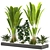 Versatile Resizable Indoor Outdoor Plants 3D model small image 1