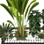 Versatile Resizable Indoor Outdoor Plants 3D model small image 5