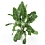 Lush Plants Collection 954 3D model small image 2