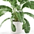 Lush Plants Collection 954 3D model small image 3