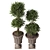 TurboSmooth Topiary Pot Set 3D model small image 3