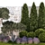 Alpine Garden Collection: Conifers & Lavender 3D model small image 3