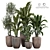 Tropical Plant Collection 3D Model 3D model small image 1